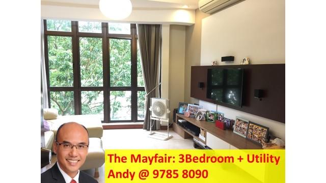 The Mayfair thumbnail photo